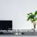 Houseplants Might Be Behind Your Sluggish Wi-Fi